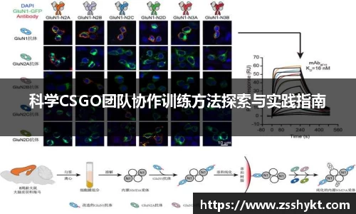 易游体育app